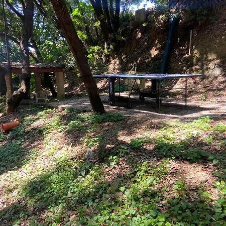 Vakantiehuis Casamare 37
